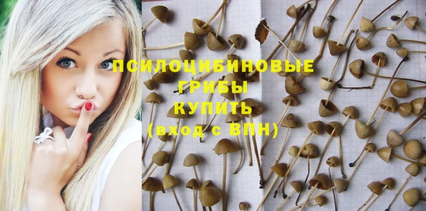 ALPHA PVP Алзамай